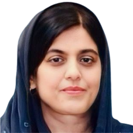 speaker image